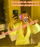 Mersin Escort Anal Sınırsız - Mersin Escort - Toroslar Esc Yenişehir Eskort Mersin Escort Seksi